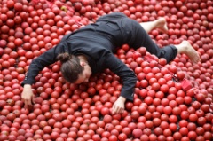 An Apple a day 8 * 5616 x 3744 * (8.03MB)